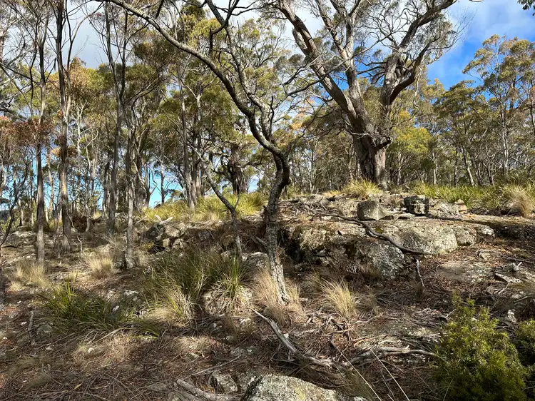 Sixth view of Homely rural property listing, 46 Little Spit Road, Lake Leake TAS 7210