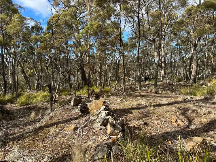 Seventh view of Homely rural property listing, 46 Little Spit Road, Lake Leake TAS 7210