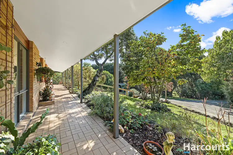 Main view of Homely house listing, 205 Harveys Road, Ruby VIC 3953