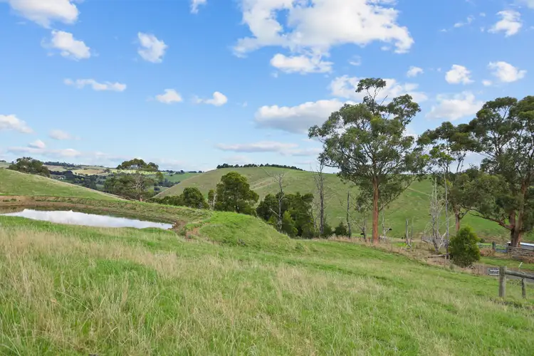 Main view of Homely rural property listing, 389 Andersons Inlet Road, Bena VIC 3946