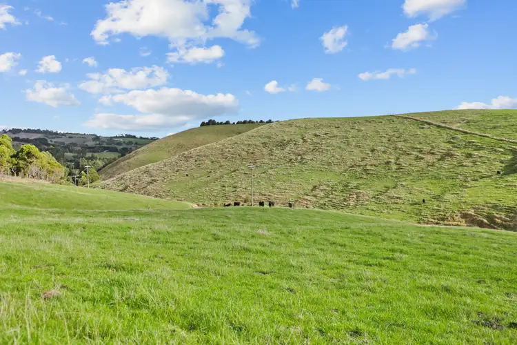 Fifth view of Homely rural property listing, 389 Andersons Inlet Road, Bena VIC 3946
