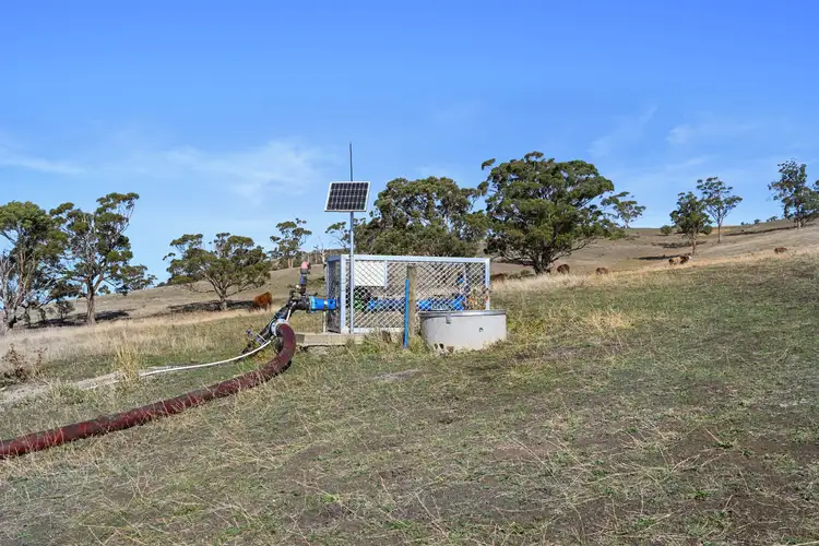 Main view of Homely rural property listing, Lot 1 & 2 Orielton Road, Orielton TAS 7172
