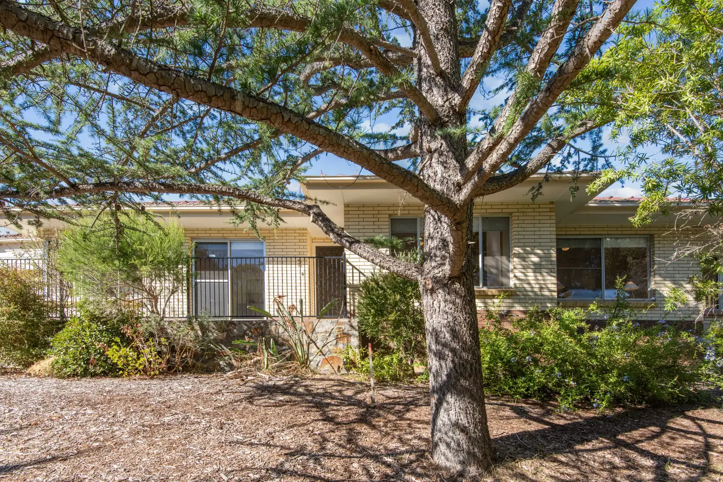 Main view of Homely house listing, 2 Alpha Crescent, Panorama SA 5041