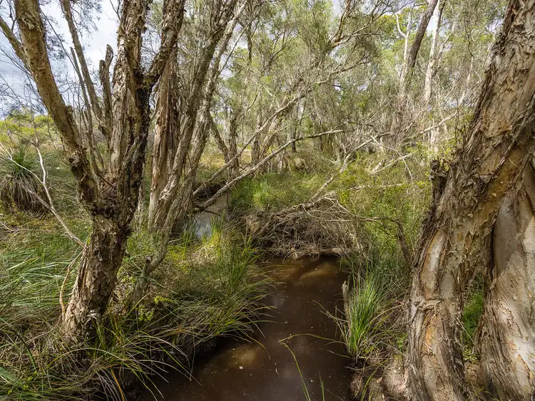 Fourth view of Homely house listing, 22 Fern Glade, Muchea WA 6501