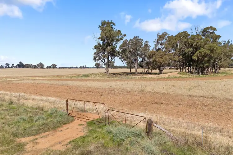 Second view of Homely rural property listing, Lot 3 Calder Highway, Derby VIC 3516