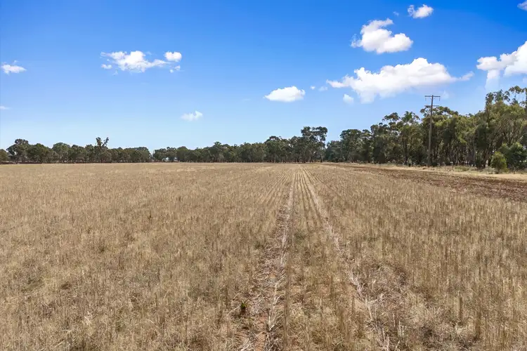 Sixth view of Homely rural property listing, Lot 3 Calder Highway, Derby VIC 3516