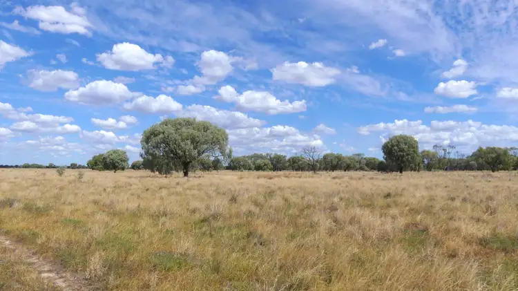 Main view of Homely rural property listing, 382 Duffity Rd, Warren NSW 2824
