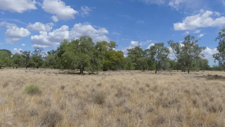 Second view of Homely rural property listing, 382 Duffity Rd, Warren NSW 2824
