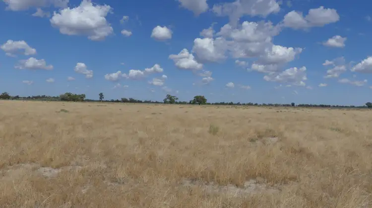 Fourth view of Homely rural property listing, 382 Duffity Rd, Warren NSW 2824