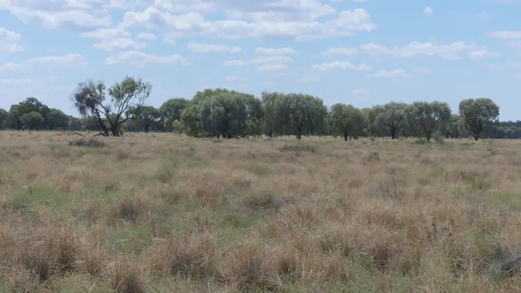 Sixth view of Homely rural property listing, 382 Duffity Rd, Warren NSW 2824