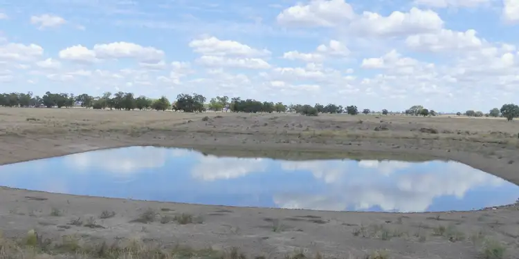 Seventh view of Homely rural property listing, 382 Duffity Rd, Warren NSW 2824