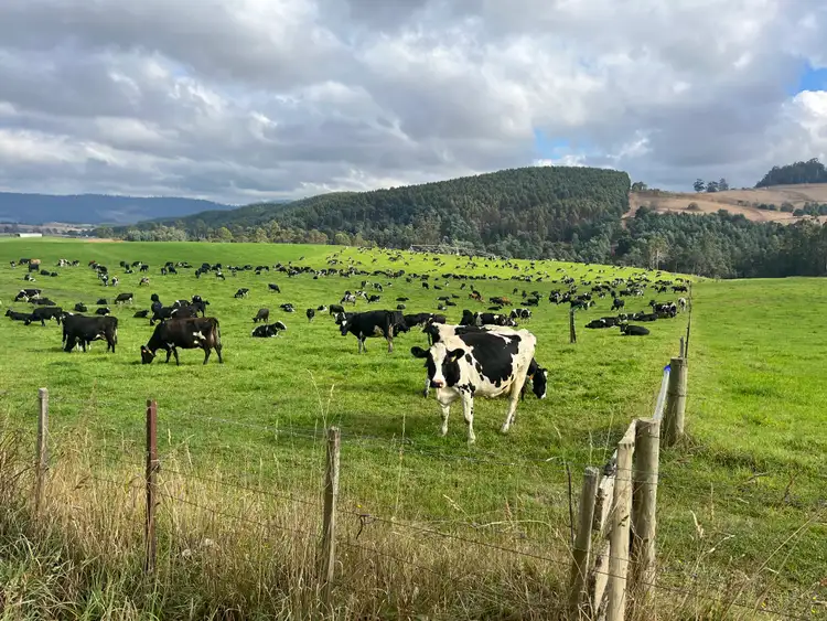 Sixth view of Homely rural property listing, 630 Ten Mile Track, Springfield TAS 7260