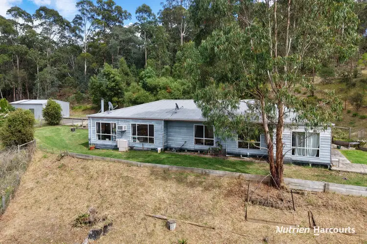 Main view of Homely house listing, 4443 Hyland Highway, Won Wron VIC 3971