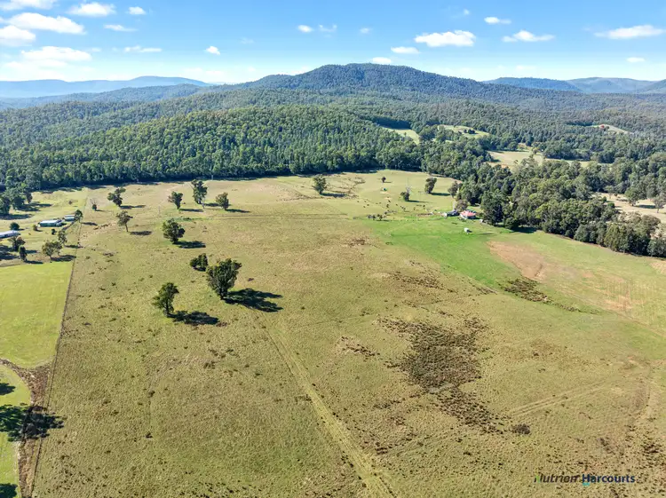 Main view of Homely land listing, 1063 Maroondah Highway, Narbethong VIC 3778