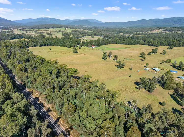Fifth view of Homely land listing, 1063 Maroondah Highway, Narbethong VIC 3778