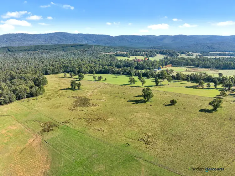 Sixth view of Homely land listing, 1063 Maroondah Highway, Narbethong VIC 3778