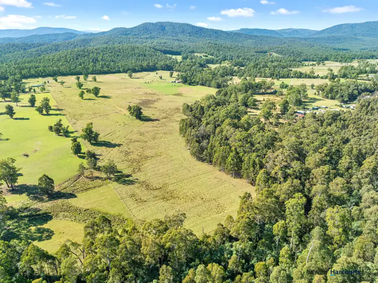 Seventh view of Homely land listing, 1063 Maroondah Highway, Narbethong VIC 3778