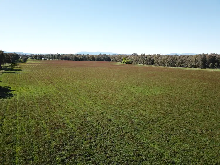 Third view of Homely rural property listing, 1736 Great Alpine Road, Tarrawingee VIC 3678