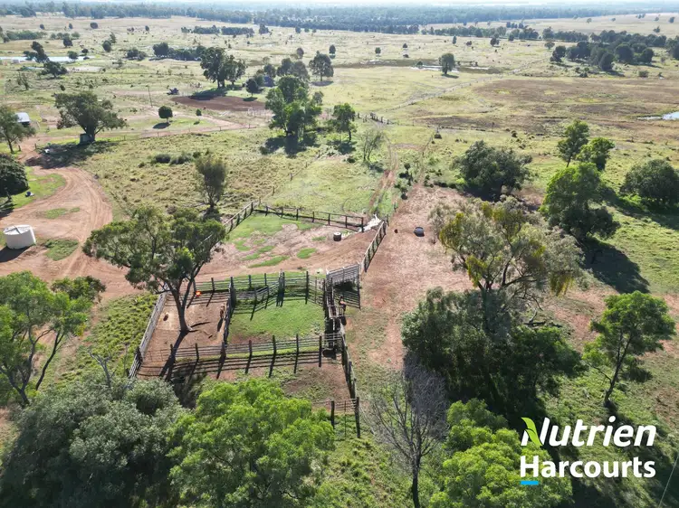 Seventh view of Homely rural property listing, 954 Red Hill Road, Chinchilla QLD 4413