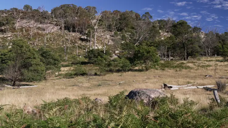 Second view of Homely rural property listing, 14 Kildare Road, Tenterfield NSW 2372