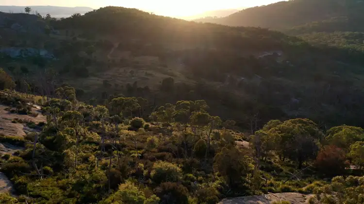 Seventh view of Homely rural property listing, 14 Kildare Road, Tenterfield NSW 2372