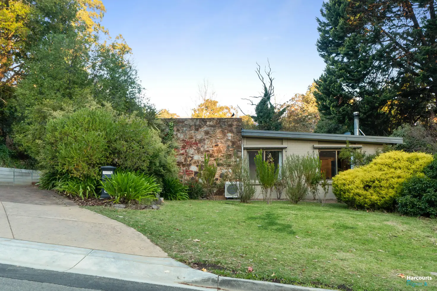 Main view of Homely house listing, 8 Elizabeth Avenue, Glenalta SA 5052