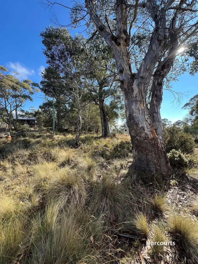 Second view of Homely land listing, 59 Jones Road, Miena TAS 7030