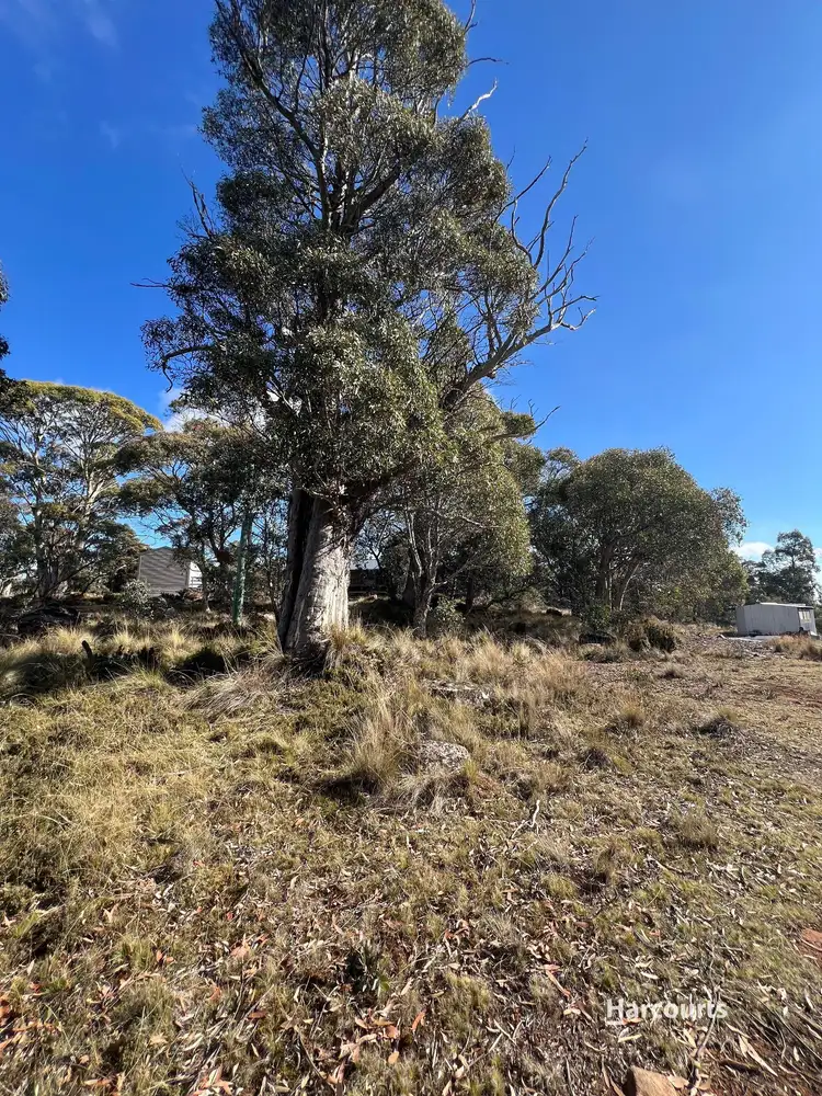 Third view of Homely land listing, 59 Jones Road, Miena TAS 7030
