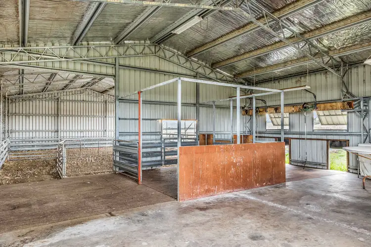 Fifth view of Homely rural property listing, 0 Vaughans Road, Ando NSW 2631