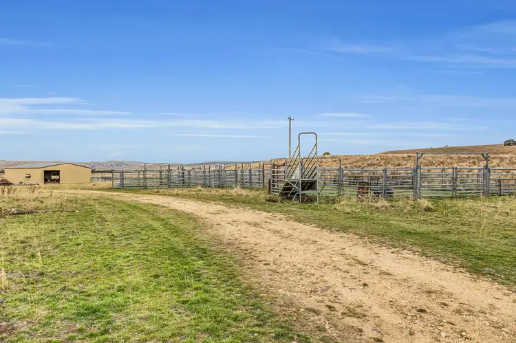 Sixth view of Homely rural property listing, 0 Vaughans Road, Ando NSW 2631