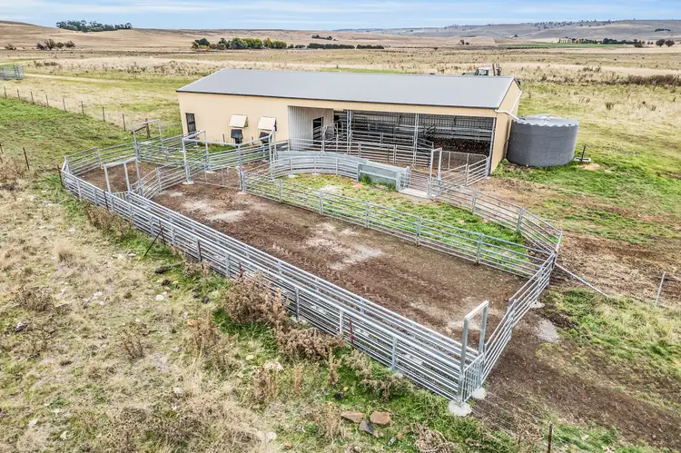 Seventh view of Homely rural property listing, 0 Vaughans Road, Ando NSW 2631