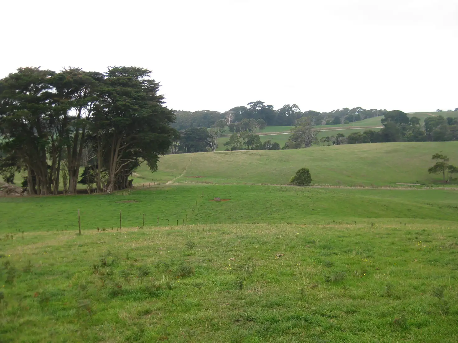 Main view of Homely rural property listing, 36 Reids Road, Irishtown TAS 7330