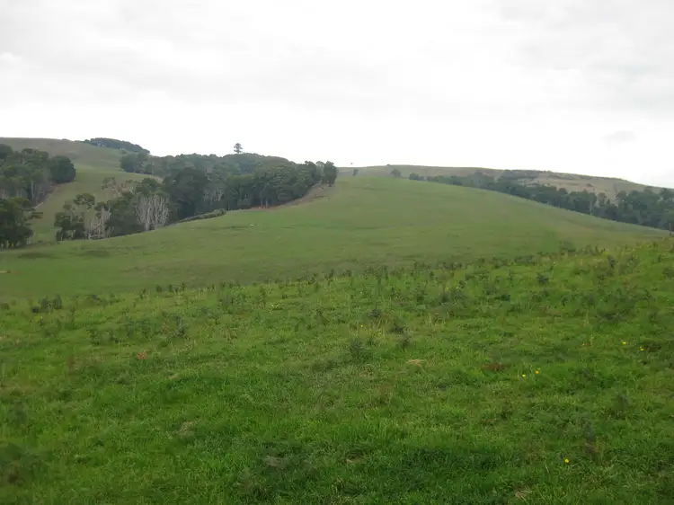 Second view of Homely rural property listing, 36 Reids Road, Irishtown TAS 7330
