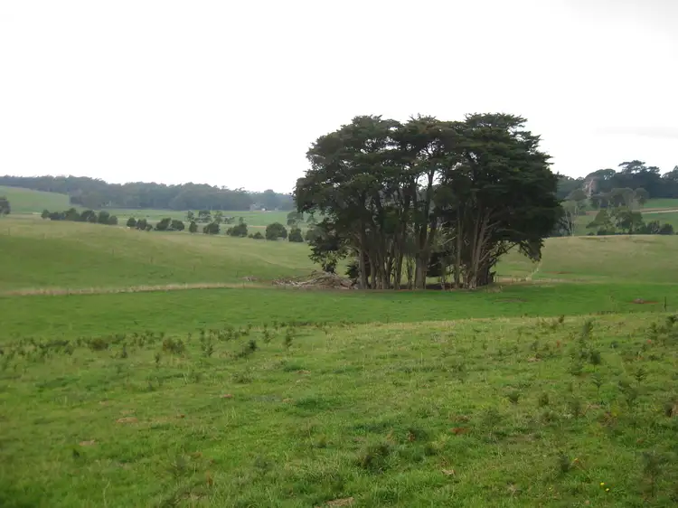 Third view of Homely rural property listing, 36 Reids Road, Irishtown TAS 7330