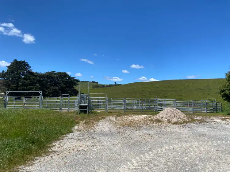 Fifth view of Homely rural property listing, 36 Reids Road, Irishtown TAS 7330
