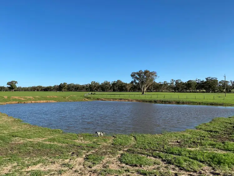 Fourth view of Homely rural property listing, 'Carinya Park' 1158 Warrumbungles Way, Coolah NSW 2843