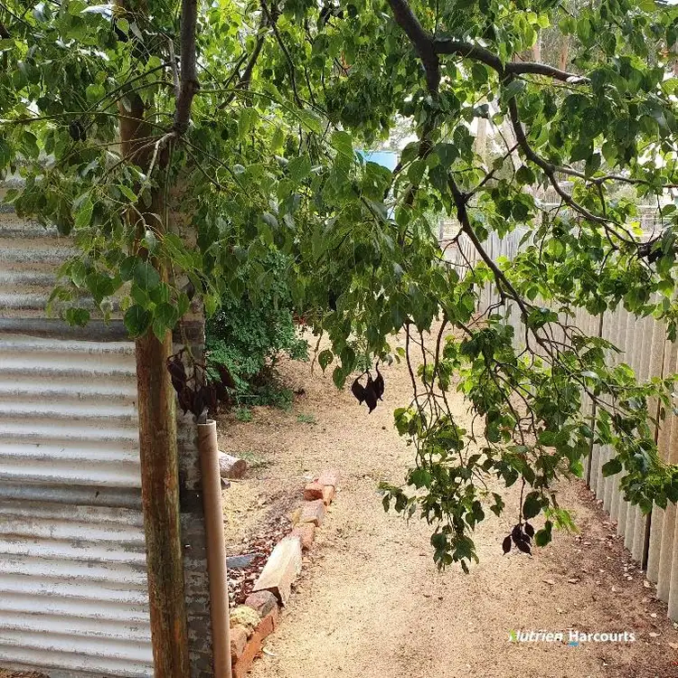 Sixth view of Homely house listing, 20 Connor Street, Yealering WA 6372