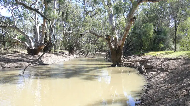 Main view of Homely rural property listing, . Gradgery Lane, Warren NSW 2824