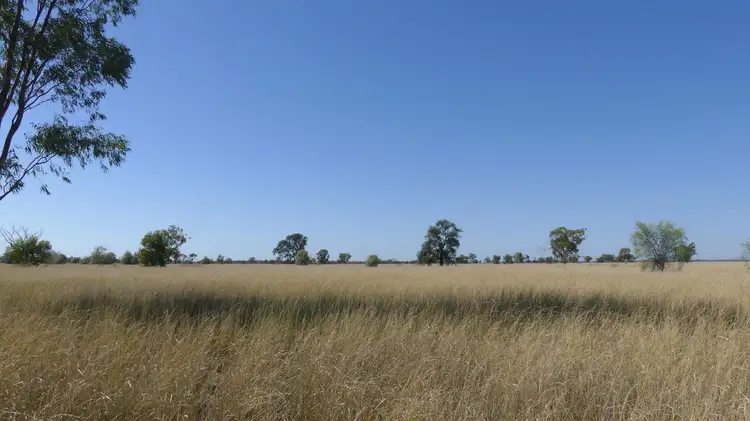 Second view of Homely rural property listing, . Gradgery Lane, Warren NSW 2824