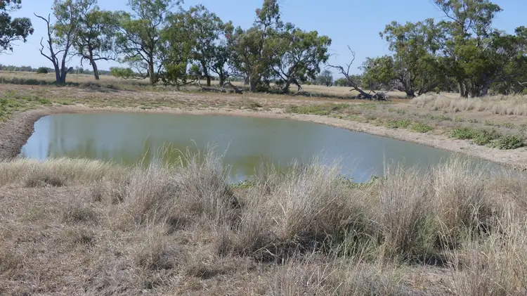Fourth view of Homely rural property listing, . Gradgery Lane, Warren NSW 2824