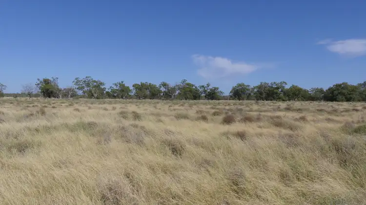Fifth view of Homely rural property listing, . Gradgery Lane, Warren NSW 2824