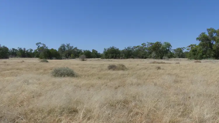 Sixth view of Homely rural property listing, . Gradgery Lane, Warren NSW 2824