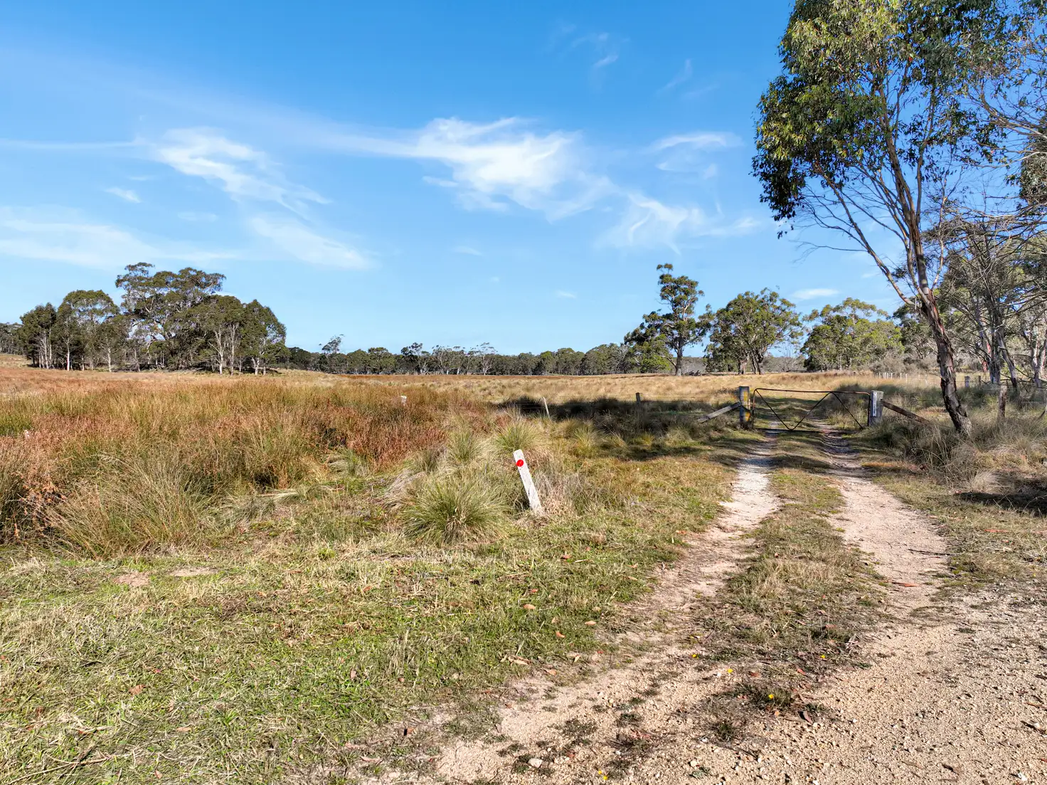 Main view of Homely rural property listing, Lot 238 Rosehill Road, Bombala NSW 2632