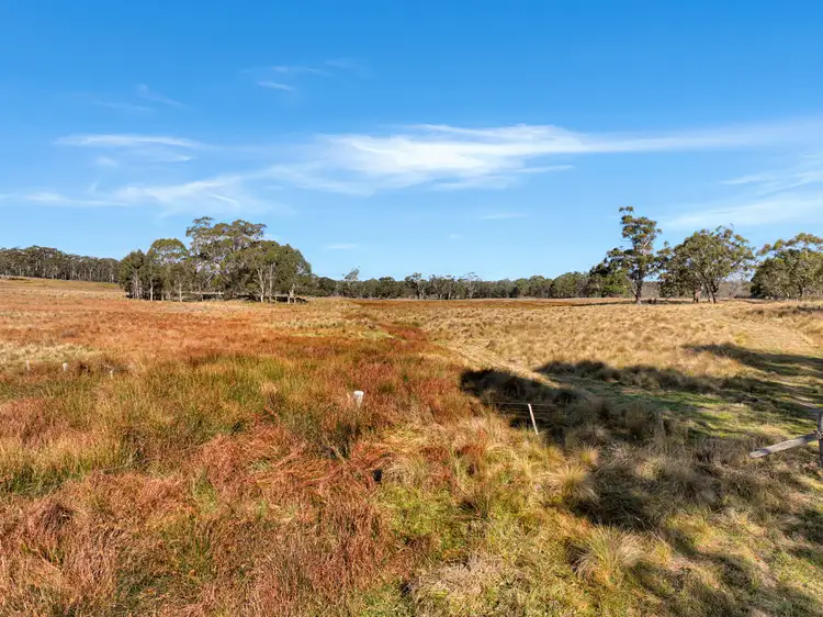 Third view of Homely rural property listing, Lot 238 Rosehill Road, Bombala NSW 2632