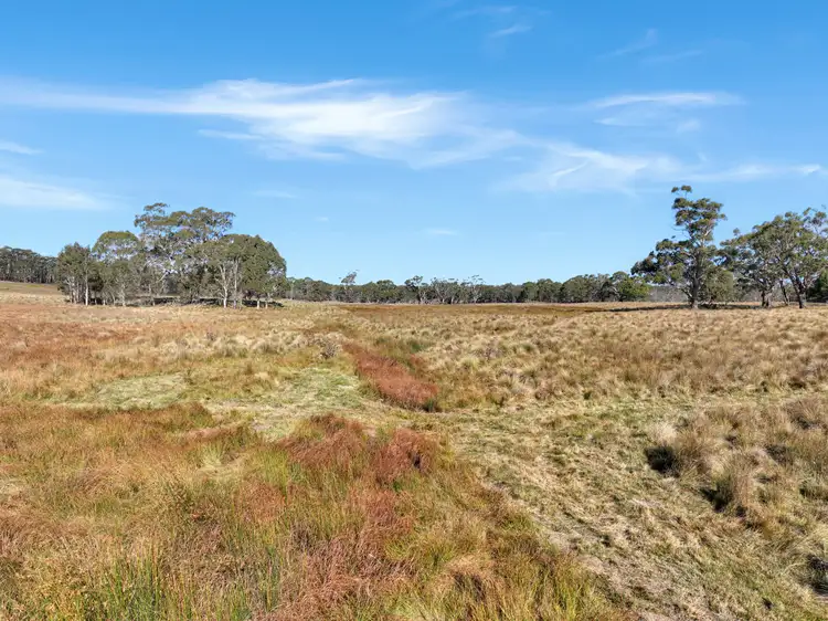 Fourth view of Homely rural property listing, Lot 238 Rosehill Road, Bombala NSW 2632