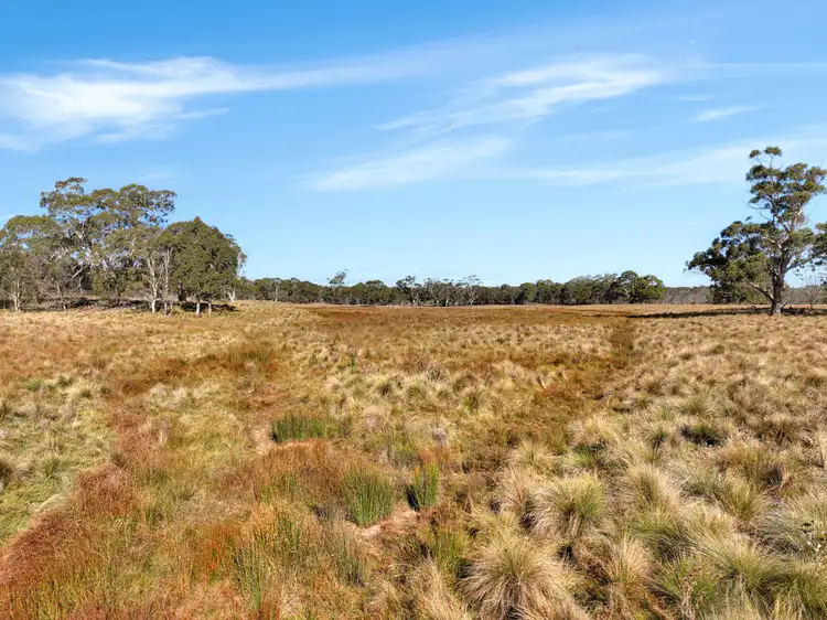 Fifth view of Homely rural property listing, Lot 238 Rosehill Road, Bombala NSW 2632