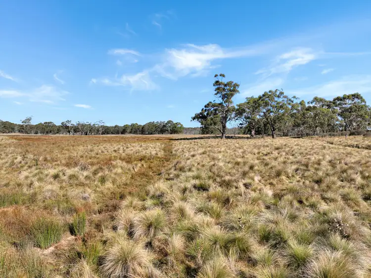 Sixth view of Homely rural property listing, Lot 238 Rosehill Road, Bombala NSW 2632