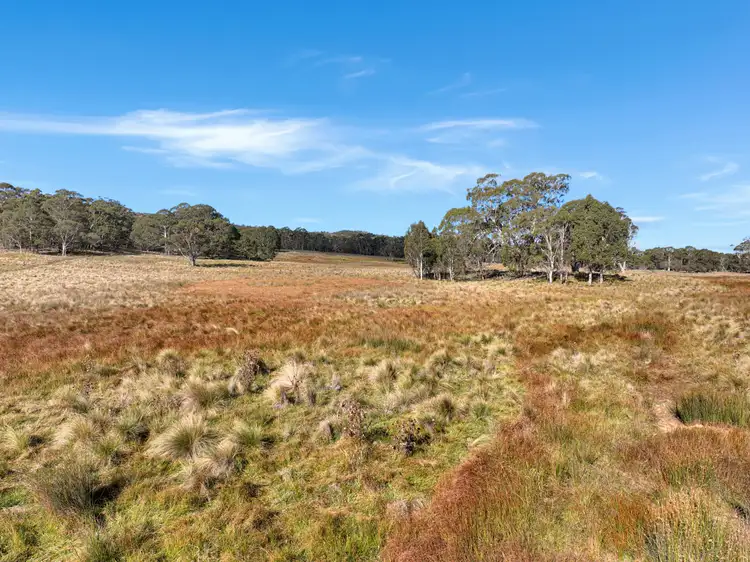 Seventh view of Homely rural property listing, Lot 238 Rosehill Road, Bombala NSW 2632