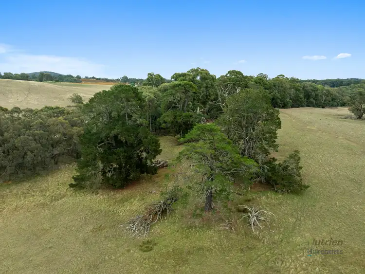 Third view of Homely rural property listing, Lot 1 Ankers Road, Boho South VIC 3669