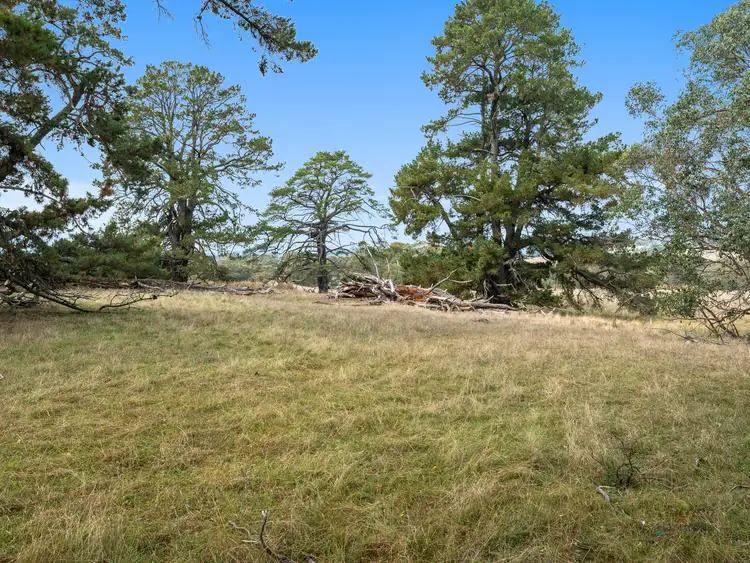 Fifth view of Homely rural property listing, Lot 1 Ankers Road, Boho South VIC 3669